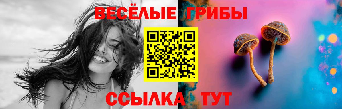 Галлюциногенные грибы прущие грибы  Вход с VPN  Таганрог 
